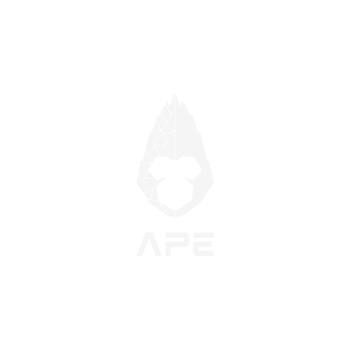 The-APE---Partner